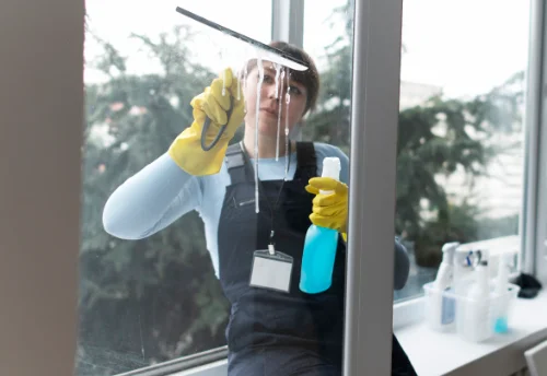 Nettoyage de vitres intérieures et extérieures à Gesnes-le-Gandelin